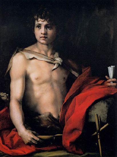 Andrea del Sarto St John the Baptist oil painting image